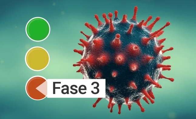 ¿EN QUÉ MOMENTO SE DECLARA FASE 3?